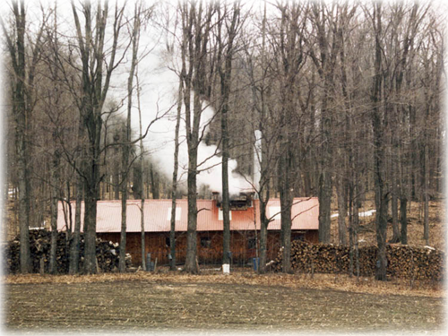 Sugarhouse 2