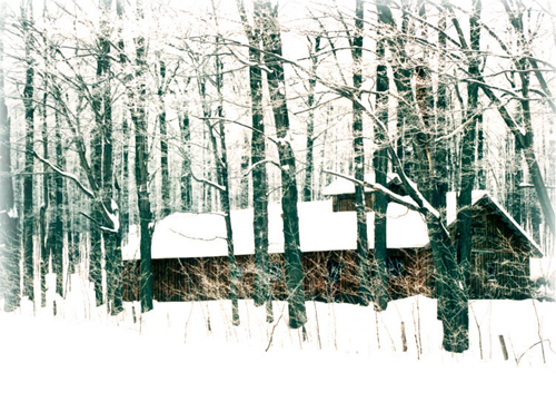 house5