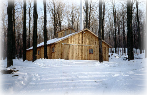 house 8